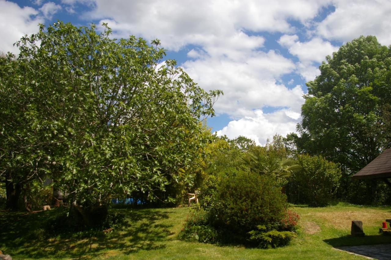 Gîte l'appel de la Forêt Betplan Extérieur photo