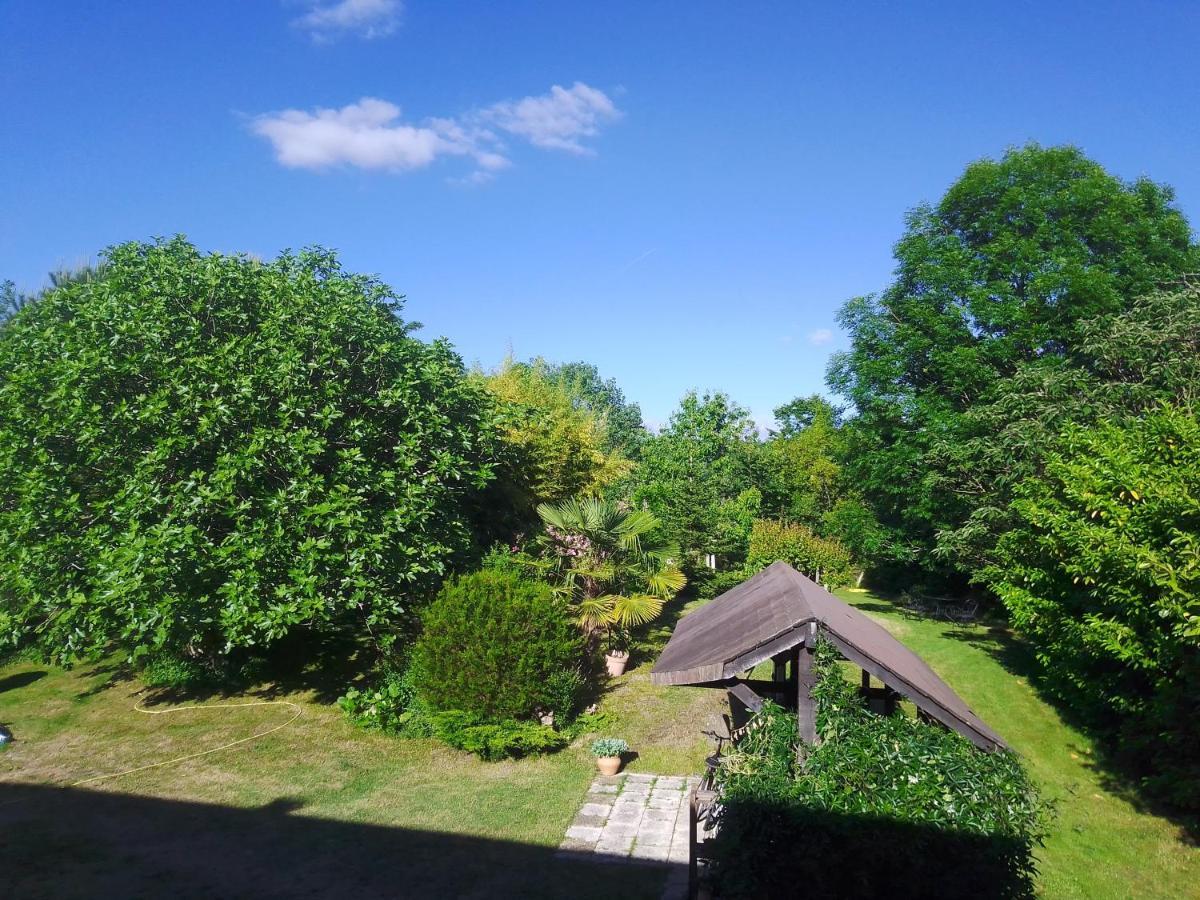 Gîte l'appel de la Forêt Betplan Extérieur photo